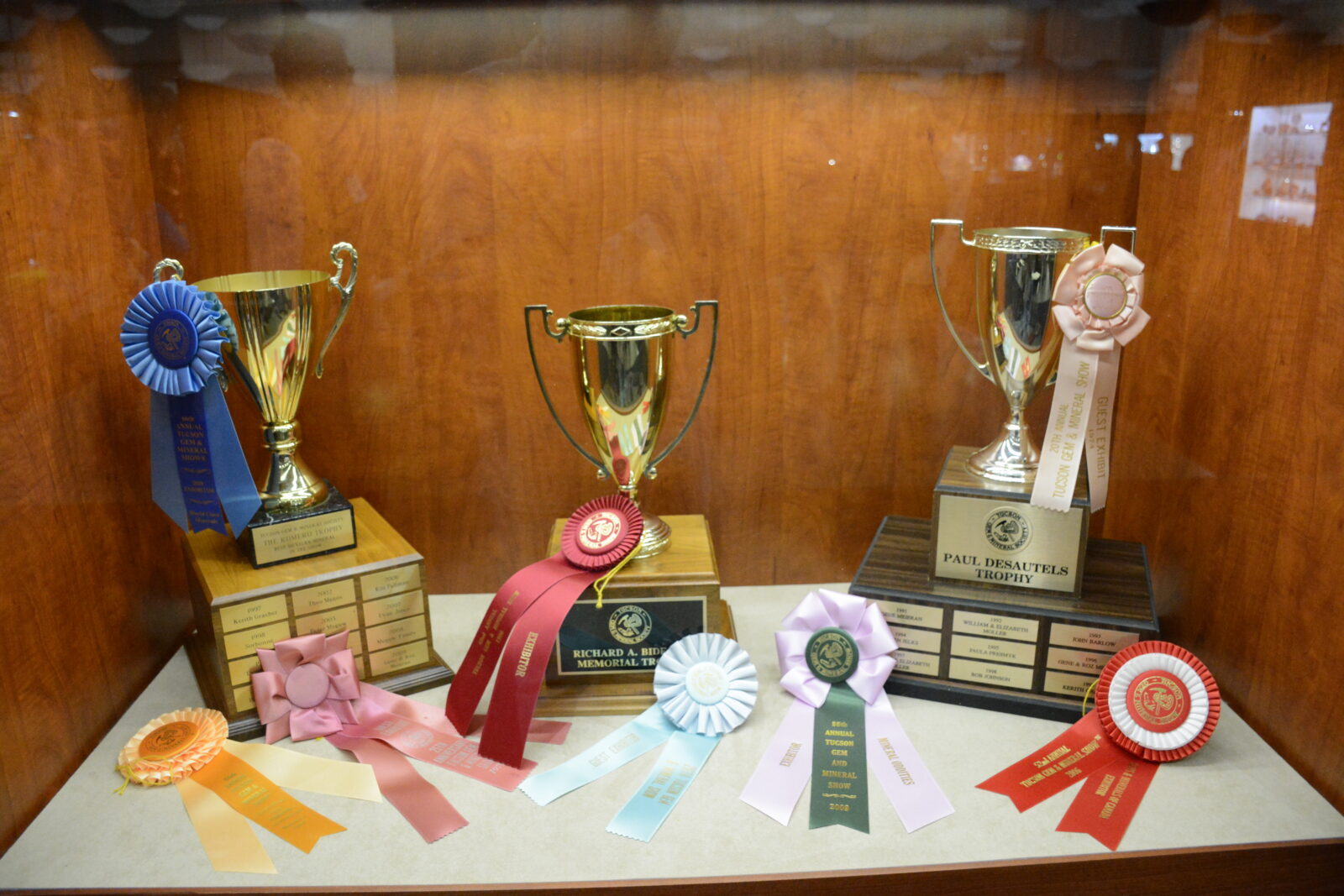DIY Trophy Display Case for Kids - Easy Ways to Showcase Medals and Awards