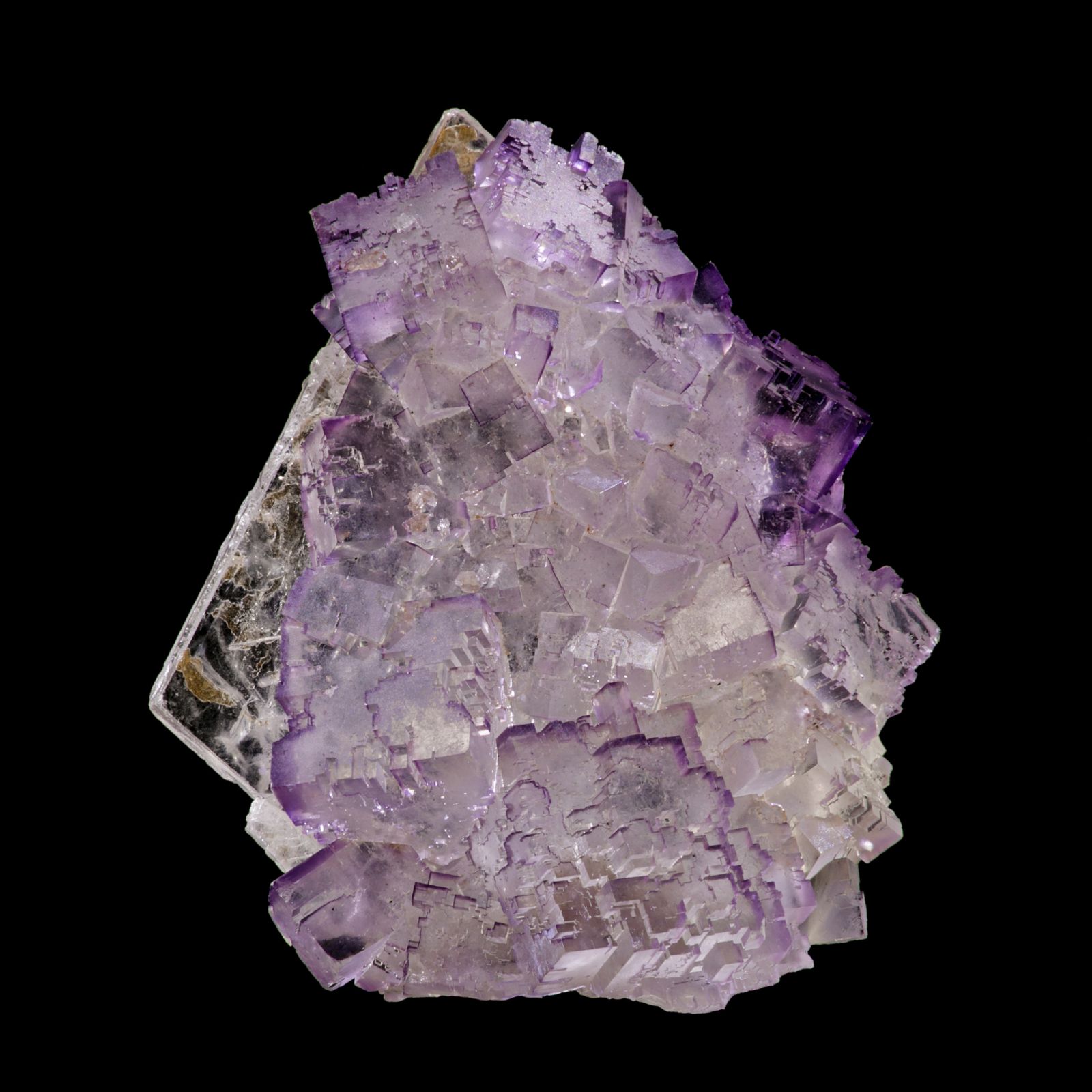 The Ruben Avila Collection Mineral Specimens